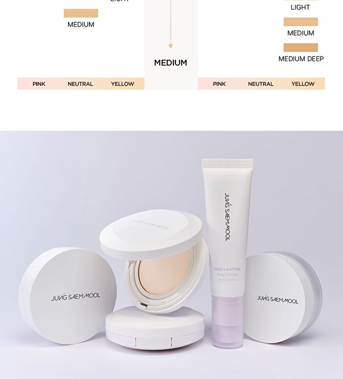 Jung Saem Mool Pro-Lasting Flawless Fit Mesh Cushion - 6 Colors - #22 Light