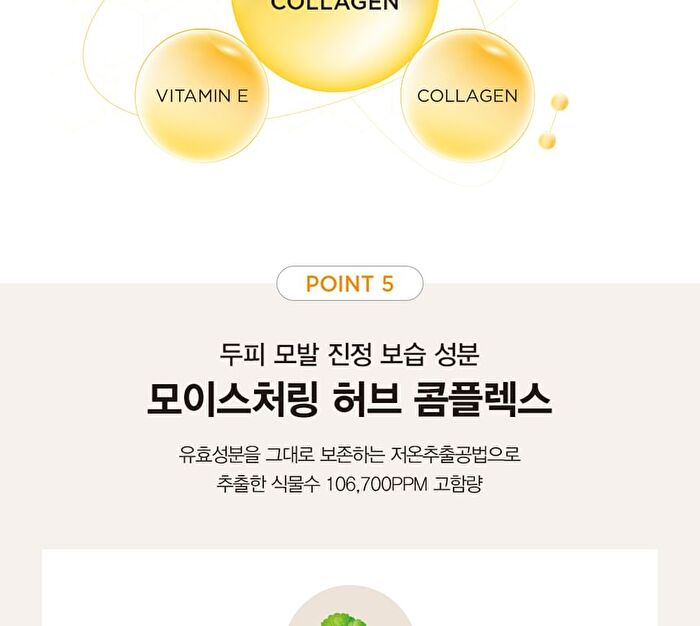 Jung Saem Mool Salon.zip Intensive Treatment - 200ml