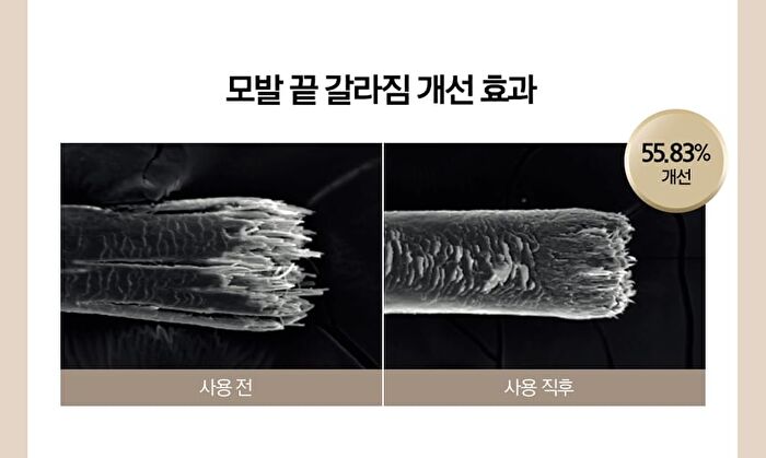Jung Saem Mool Salon.zip Protein Recharging Hair Oil - 100ml