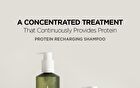 Jung Saem Mool Salon.zip Protein Recharging Shampoo - 400ml
