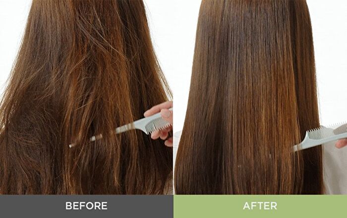 Jung Saem Mool Salon.zip Protein Recharging Shampoo - 400ml