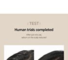 Jung Saem Mool Salon.zip Scalp Renewing Shampoo - 400ml