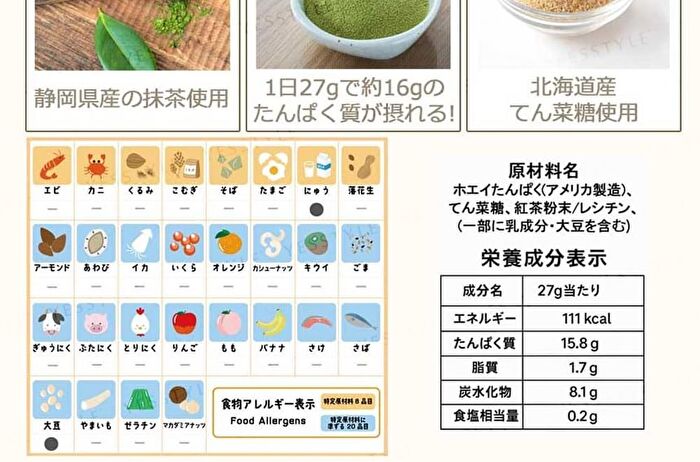 Fine Japan Authentic Japanese Matcha Whey Protein - 351g