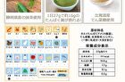 Fine Japan Authentic Japanese Matcha Whey Protein - 351g