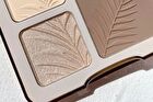 2 IN 1 Highlighter Contour Palette - 3 Colors - #02 Tree Shadow (Holiday Limited) - 9g