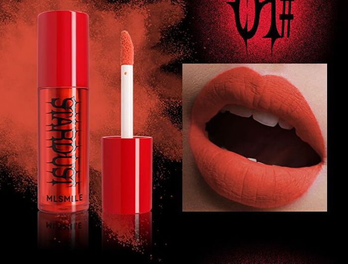 Stardust Lip Powder - 6 Colors - #04 Brown - 2g