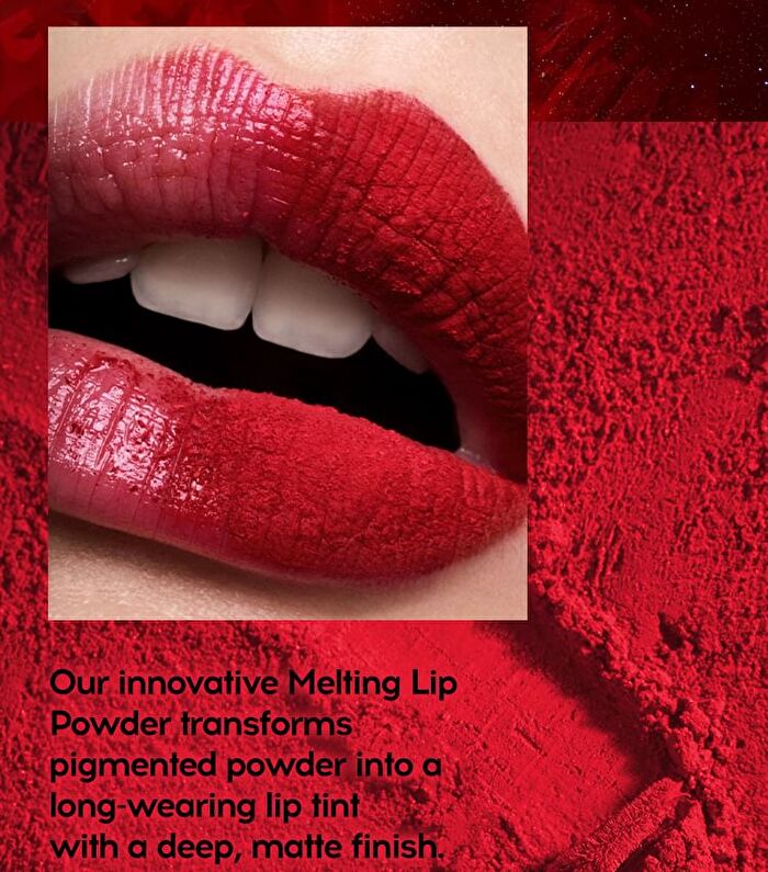 Stardust Lip Powder - 6 Colors - #04 Brown - 2g
