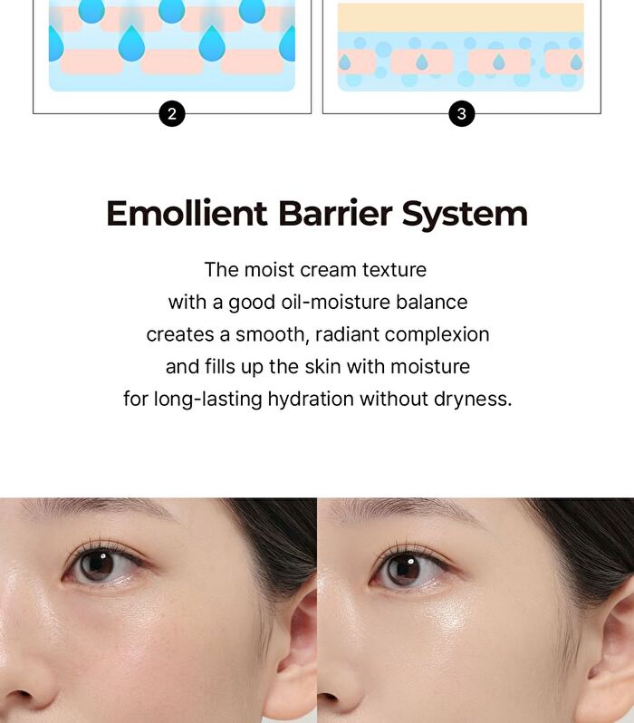 EGF Cover BB Cream - 30ml