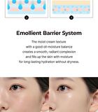 EGF Cover BB Cream - 30ml