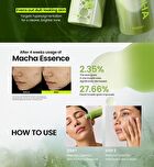 Matcha Catechin Duo Set - 2 pcs