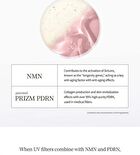 Pestlo Saferecipe NMN PDRN Sun Serum - 50ml
