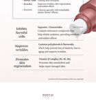 Pestlo T3 PDRN Exosome Glow Ampoule - 30ml