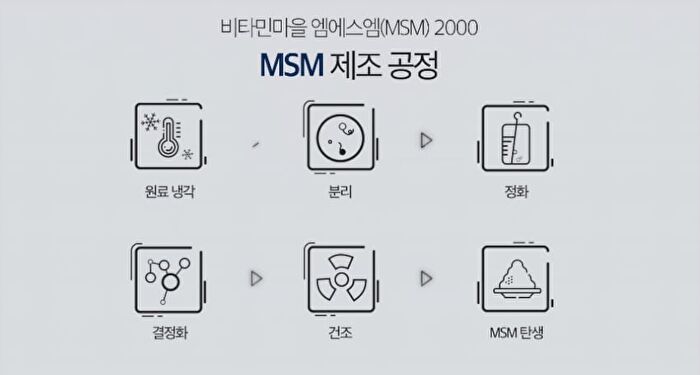 MSM 2000 - 2025 Version - 2.04g x 90 sticks