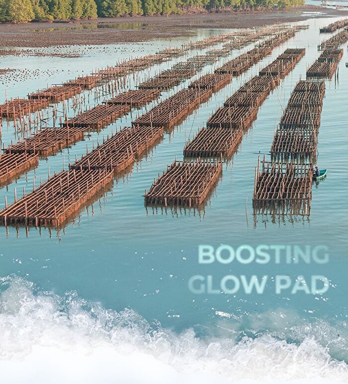 Gim PDRN Boosting Glow Pad - 70 pads