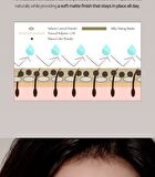 Prelude Dinto Dante Sharpenable Brow Pencil - 3 Colors - #41 Leone