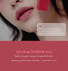 Blurring Lip Veil Madame Butterfly Collection - 10 Colors - #104 Vivace