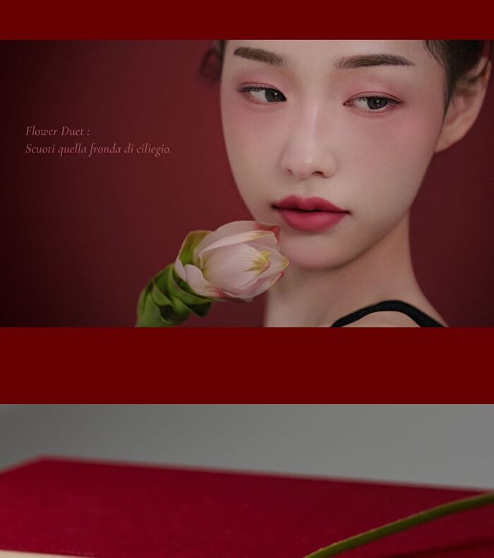 Blurring Lip Veil Madame Butterfly Collection - 10 Colors - #104 Vivace