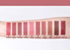 Blurring Lip Veil Madame Butterfly Collection - 10 Colors - #107 Adagio