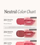 Blur-Glowy Lip Tint - 30 Colors - #229 Dignitas