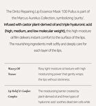 Repairing Lip Essence Mask - #100 Pullus
