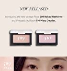 All that Moments Blur-Finish Blusher - 10 Colors - #502 Sweet Rilke
