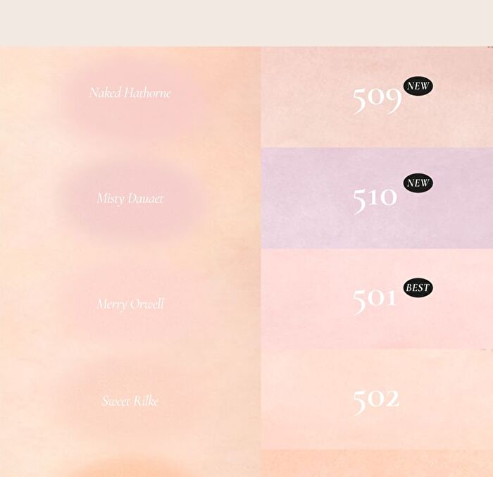 All that Moments Blur-Finish Blusher - 10 Colors - #504 Moody Lorca