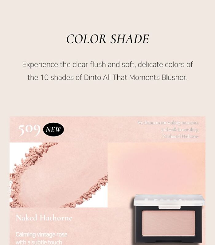 All that Moments Blur-Finish Blusher - 10 Colors - #510 Misty Daudet