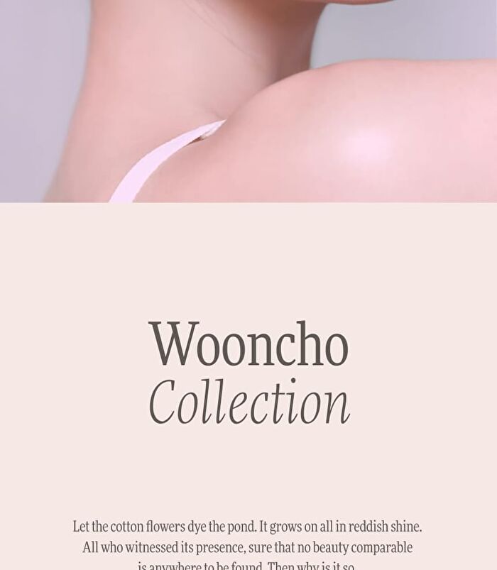 Wooncho Light-Veil Color Corrector - 3 Colors - #914 Lilac Wooncho