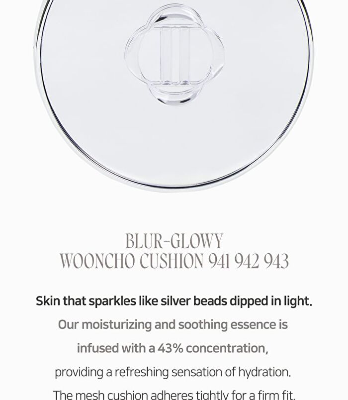 Blur-Glowy Wooncho Cushion Refill Only - 3 Colors - #942 Sage Wooncho