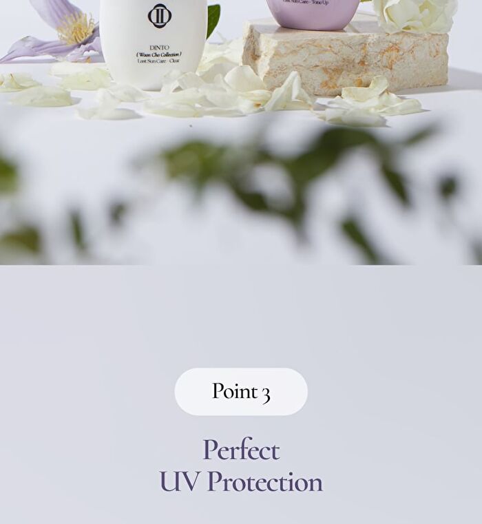 Last Sun Care Woon Cho Collection - 2 Types - S562 Tone Up