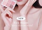 Blur-Finish Shadow - 5 Types - #701 Jane Austen