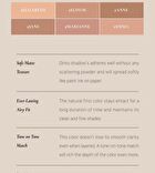 Blur-Finish Shadow - 5 Types - #704 Louisa May Alcott