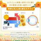 Fine Japan Sharp Vision Capsule - 60 capsules