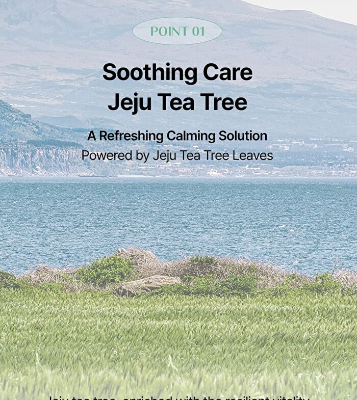 mixsoon and by mixsoon Tea Tree Moisture Conditioner - 500ml