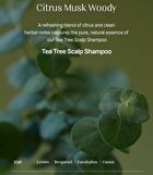mixsoon and by mixsoon Tea Tree Scalp Shampoo - 500ml