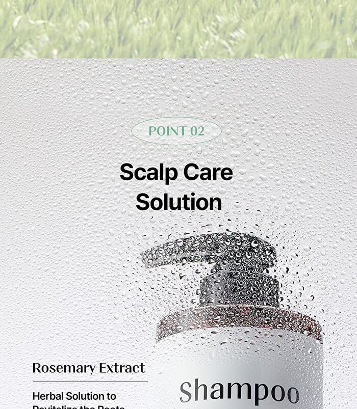 mixsoon and by mixsoon Tea Tree Scalp Shampoo - 500ml