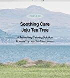 mixsoon and by mixsoon Tea Tree AHA Body Wash - 500ml