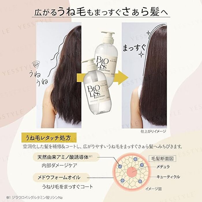 Opanchu Bioliss Pure Retouch Silky Straight Shampoo & Conditioner Set - 480ml x 2