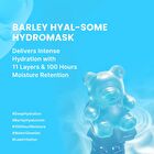 Barley Hyal-Some Hydromask Set - 36g x 4 sheets
