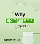 Madeca Real Green Pore Nose Pack - 5 sets