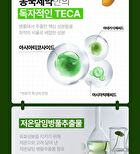 Madeca Real Green Pore Nose Pack - 5 sets
