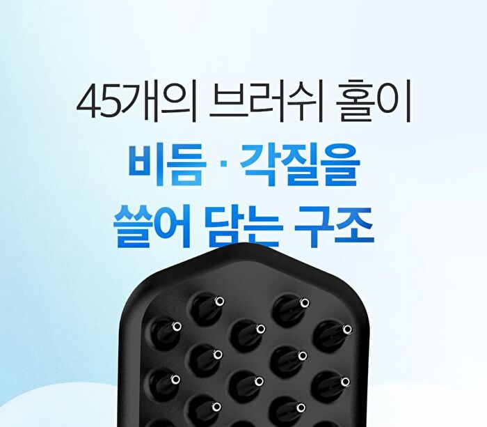 Dandruff Brush - 1 pc