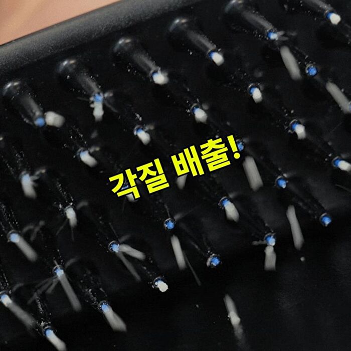 Dandruff Brush - 1 pc