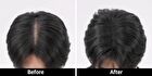Scalp Tattoo - 2 Colors - #Brown
