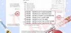 Camellia Lip Essence Crayon Shin-chan Edition - 2 Flavors - #02B Coconut (Hula Version) - 1.5g