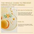 Phoenix Rosehip Anti-Aging Face Oil - 30ml
