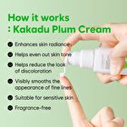 Chungmijung Melasma Blemish Cream Kakadu Plum - 2025 Version - 50g