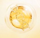 Foodology ACV Jelly - 3 Types - Peach