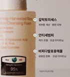 Morning-Harvested Rice Bubble Cleansing Foam - 500ml