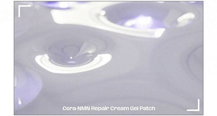 Dermatory Cera+NMN Repair Cream Gel Patch - 4 patches